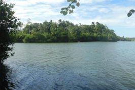 River Lake Lagoon Water Property For Sale Sri Lanka