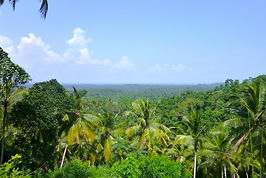 Inland property Eco Resort for sale Sri Lanka