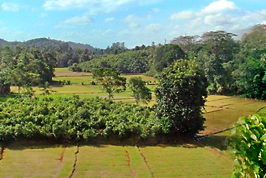 Land scenic view for villa resort purchase sri lanka
